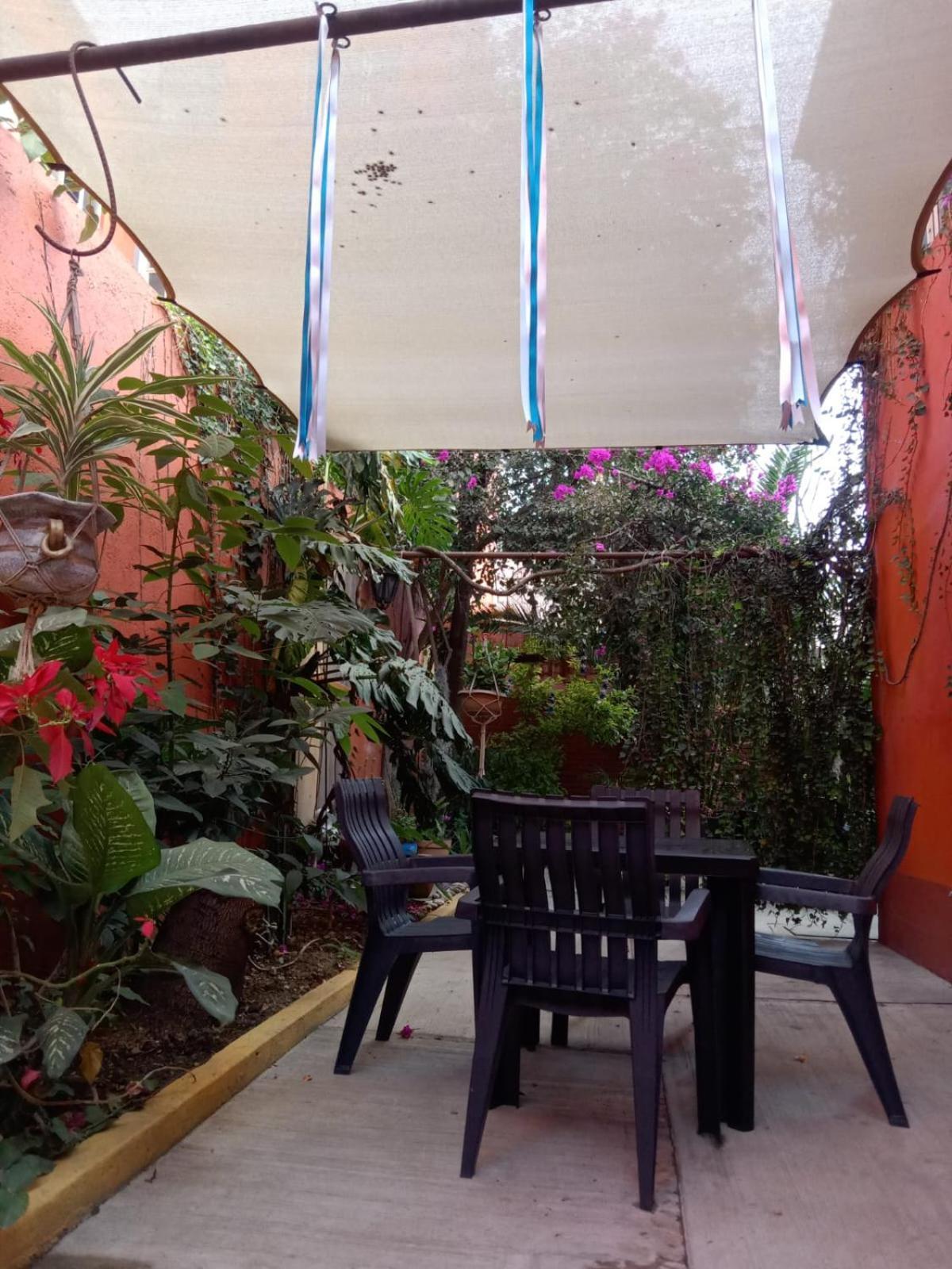 Casa Guanab Guest House Oaxaca Exterior foto