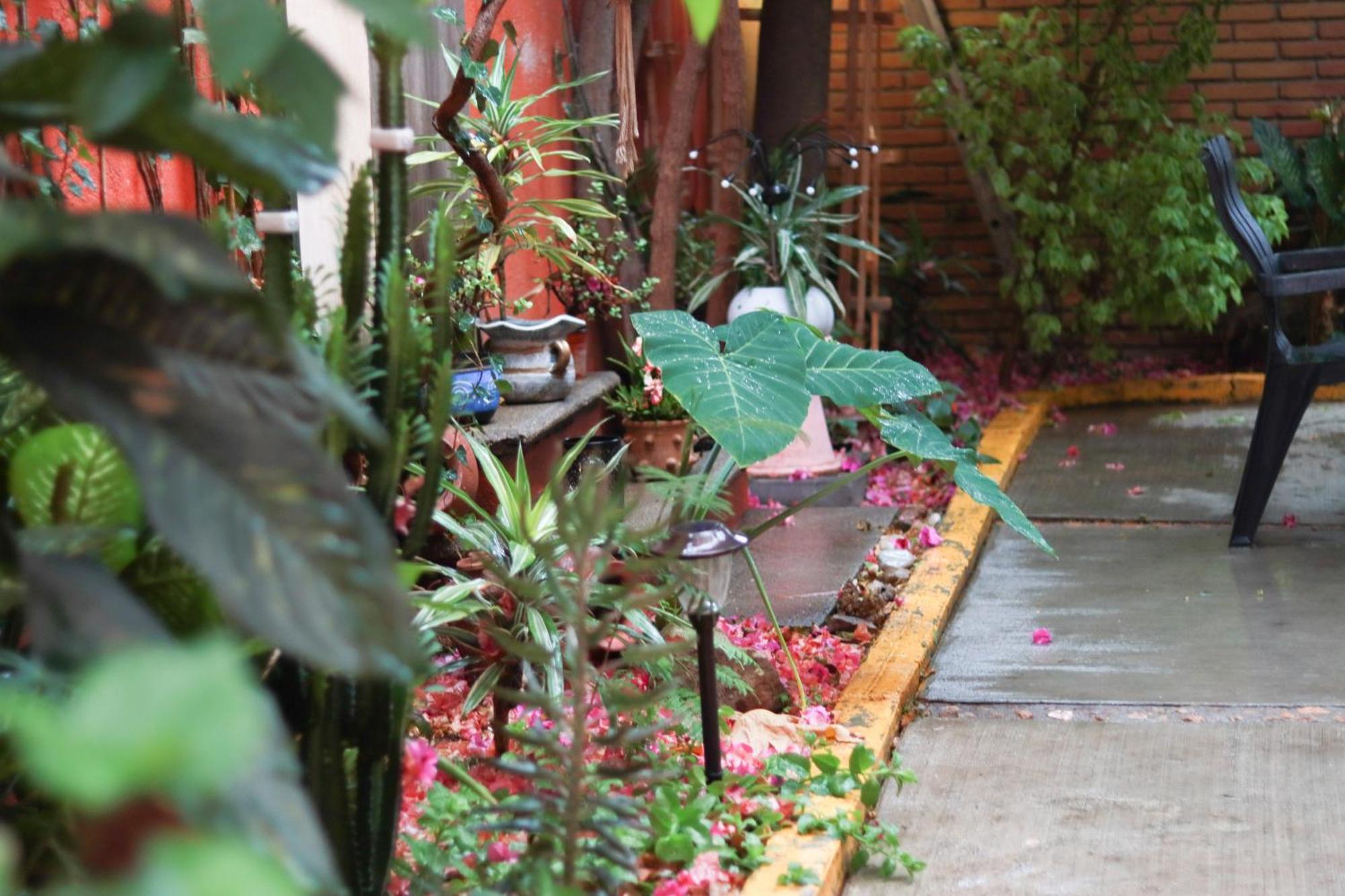 Casa Guanab Guest House Oaxaca Exterior foto