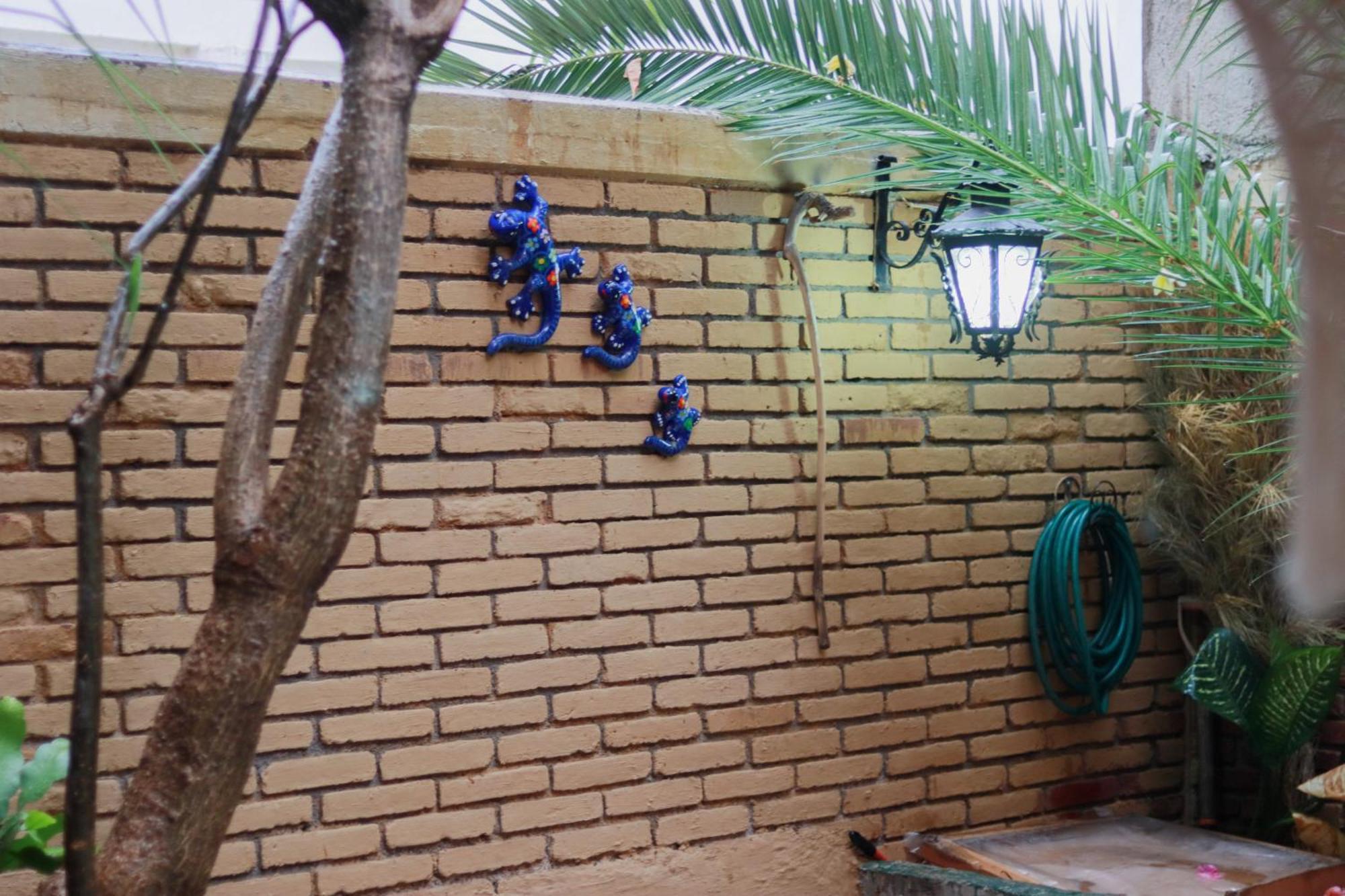 Casa Guanab Guest House Oaxaca Exterior foto